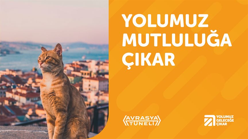 Yolumuz Mutluluğa Çıkar