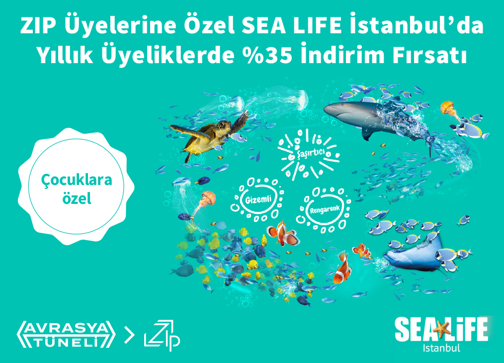 ZIP Üyelerine Özel SEA LIFE İstanbul’da Yıllık Üyeliklerde %35 İndirim Fırsatı
